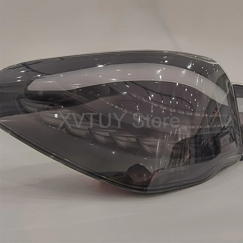 مصابيح خلفية لسيارة BMW X1 F48 F49 2016-2021 LED إشارة الانعطاف مصباح توقف الفرامل مصباح وقوف السيارات على شكل تنين مجموعة ضوء خلفي أسود 